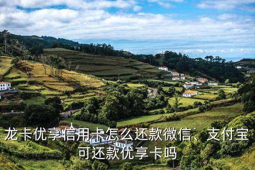 龙卡优享信用卡怎么还款微信、支付宝可还款优享卡吗