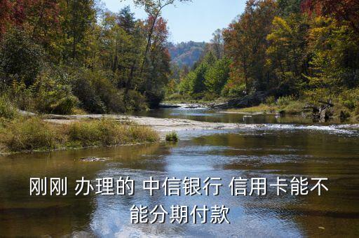 刚刚 办理的 中信银行 信用卡能不能分期付款