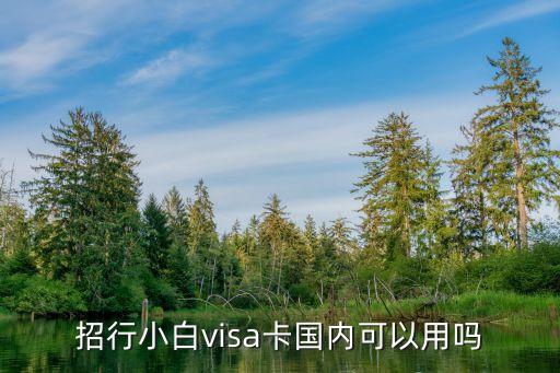 招行小白visa卡国内可以用吗