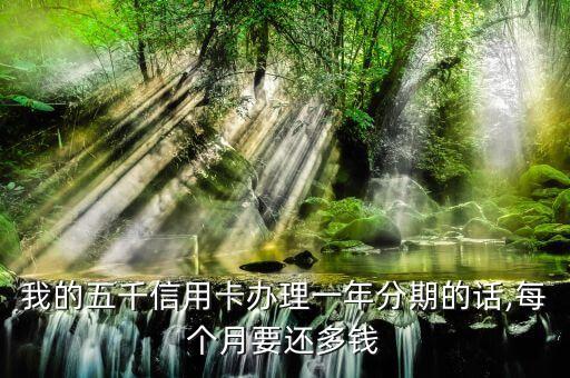 我的五千信用卡办理一年分期的话,每个月要还多钱