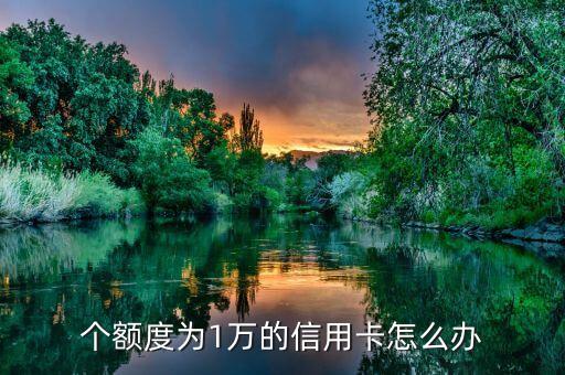 个额度为1万的信用卡怎么办