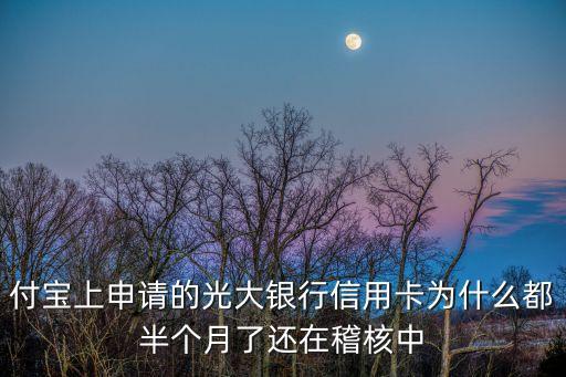 付宝上申请的光大银行信用卡为什么都半个月了还在稽核中
