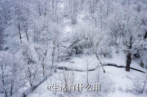 e生活有什么用