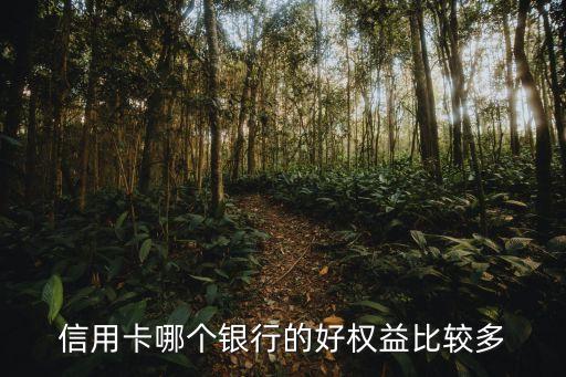 信用卡哪个银行的好权益比较多