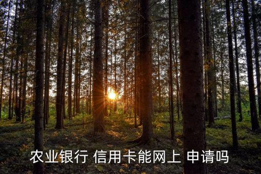 农业银行 信用卡能网上 申请吗
