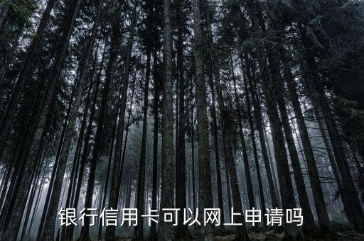 银行信用卡可以网上申请吗