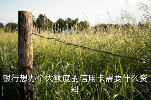 银行想办个大额度的信用卡需要什么资料