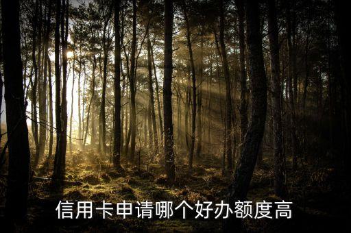 信用卡申请哪个好办额度高