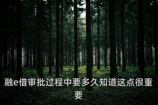 融e借审批过程中要多久知道这点很重要