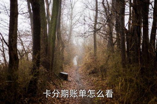 卡分期账单怎么看