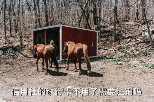 农信银行信用卡怎么删除,广东农村信用卡