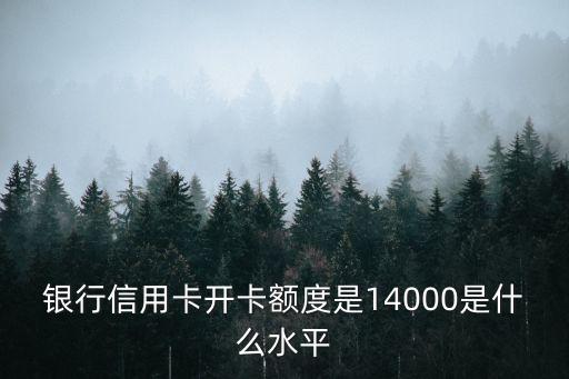 银行信用卡开卡额度是14000是什么水平