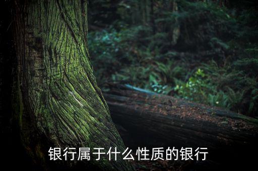 银行属于什么性质的银行