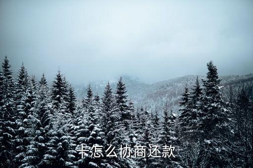 信用卡逾期协商最佳时间,经与银行卡协商还款逾期