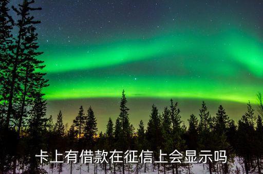 卡上有借款在征信上会显示吗