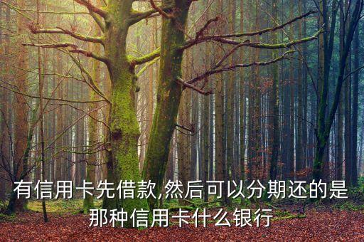 有信用卡先借款,然后可以分期还的是那种信用卡什么银行