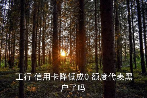  工行 信用卡降低成0 额度代表黑户了吗