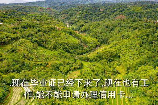 .现在毕业证已经下来了,现在也有工作,能不能申请办理信用卡...
