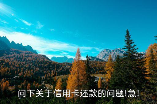 问下关于信用卡还款的问题!急!