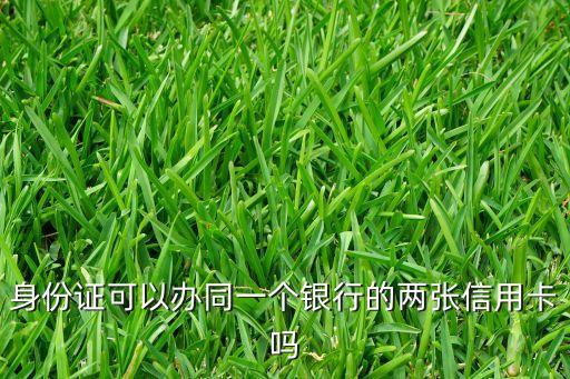 怎么样办两张信用卡额度,办了两张信用卡不使用会怎么样