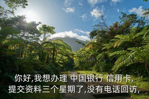 中国银行信用卡来电审核,为什么中国银行信用卡审核不通过