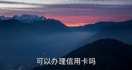 可以办理信用卡吗