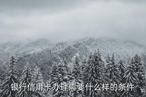 银行信用卡办理需要什么样的条件