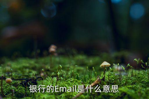 银行的Email是什么意思