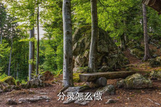 分录怎么做