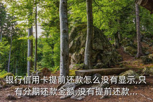 银行信用卡提前还款怎么没有显示,只有分期还款金额,没有提前还款...
