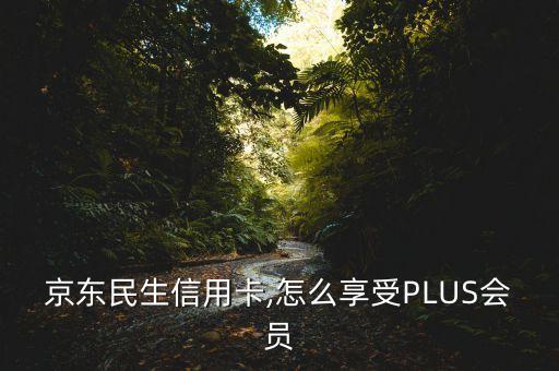 京东民生信用卡,怎么享受PLUS会员