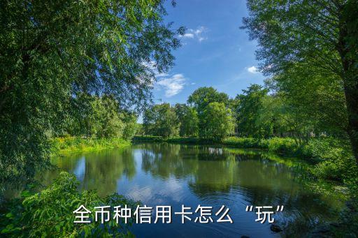 全币种信用卡怎么“玩”