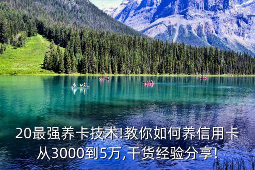 20最强养卡技术!教你如何养信用卡从3000到5万,干货经验分享!