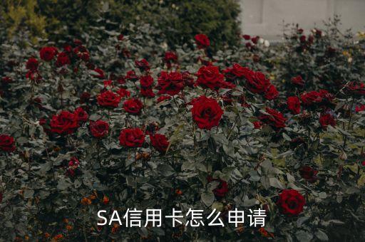 SA信用卡怎么申请