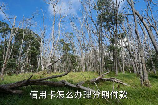 信用卡怎么办理分期付款