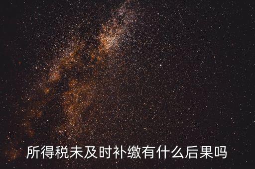 所得税未及时补缴有什么后果吗