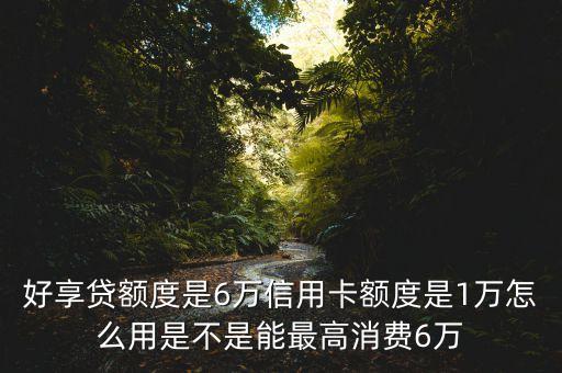 好享贷额度是6万信用卡额度是1万怎么用是不是能最高消费6万
