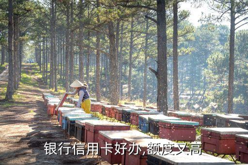 银行信用卡好办,额度又高