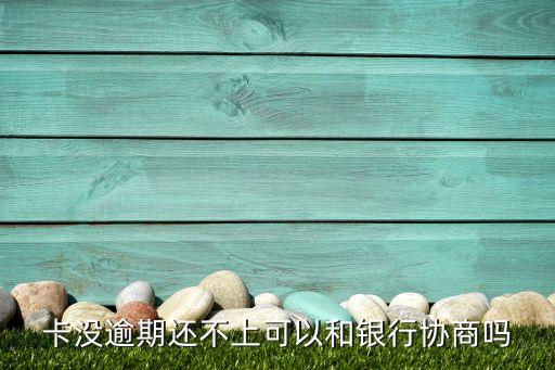 卡没逾期还不上可以和银行协商吗