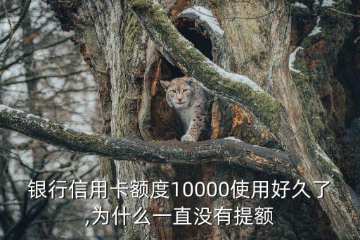 银行信用卡额度10000使用好久了,为什么一直没有提额