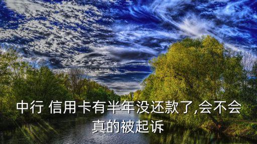 中行 信用卡有半年没还款了,会不会真的被起诉