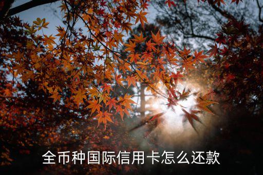 全币种国际信用卡怎么还款