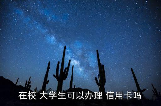 在校 大学生可以办理 信用卡吗