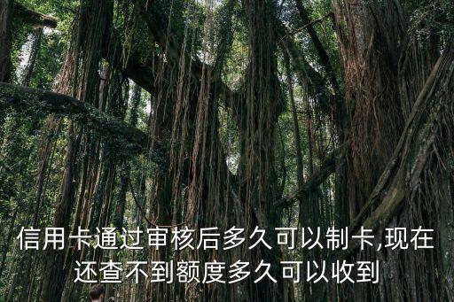 信用卡通过审核后多久可以制卡,现在还查不到额度多久可以收到
