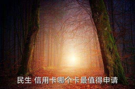 民生 信用卡哪个卡最值得申请