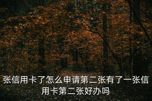 张信用卡了怎么申请第二张有了一张信用卡第二张好办吗