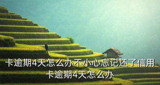 卡逾期4天怎么办不小心忘记还了信用卡逾期4天怎么办