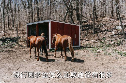 中信银行信用卡中信圆梦金,如何通过中信银行申请圆梦基金