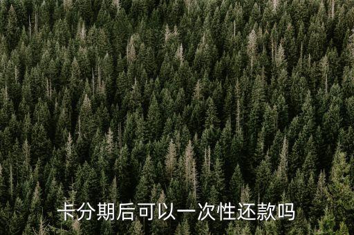 卡分期后可以一次性还款吗