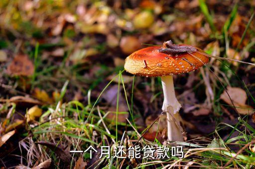 一个月还能贷款吗